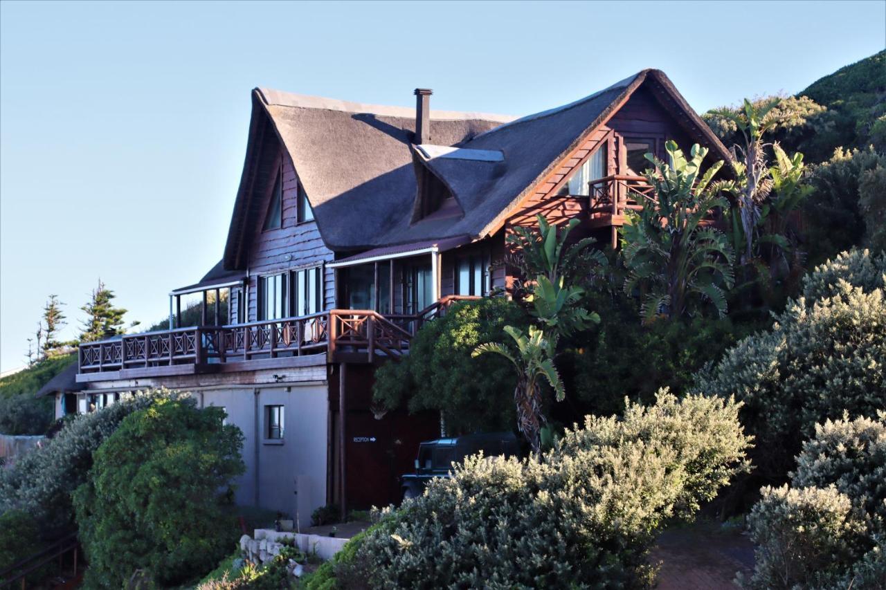 Oyster Bay Beach Lodge Kültér fotó